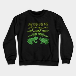 Leap of Life: Vintage Science Illustration of Frog Tadpole Life Cycle - An Educational Treat for Biology Teachers Crewneck Sweatshirt